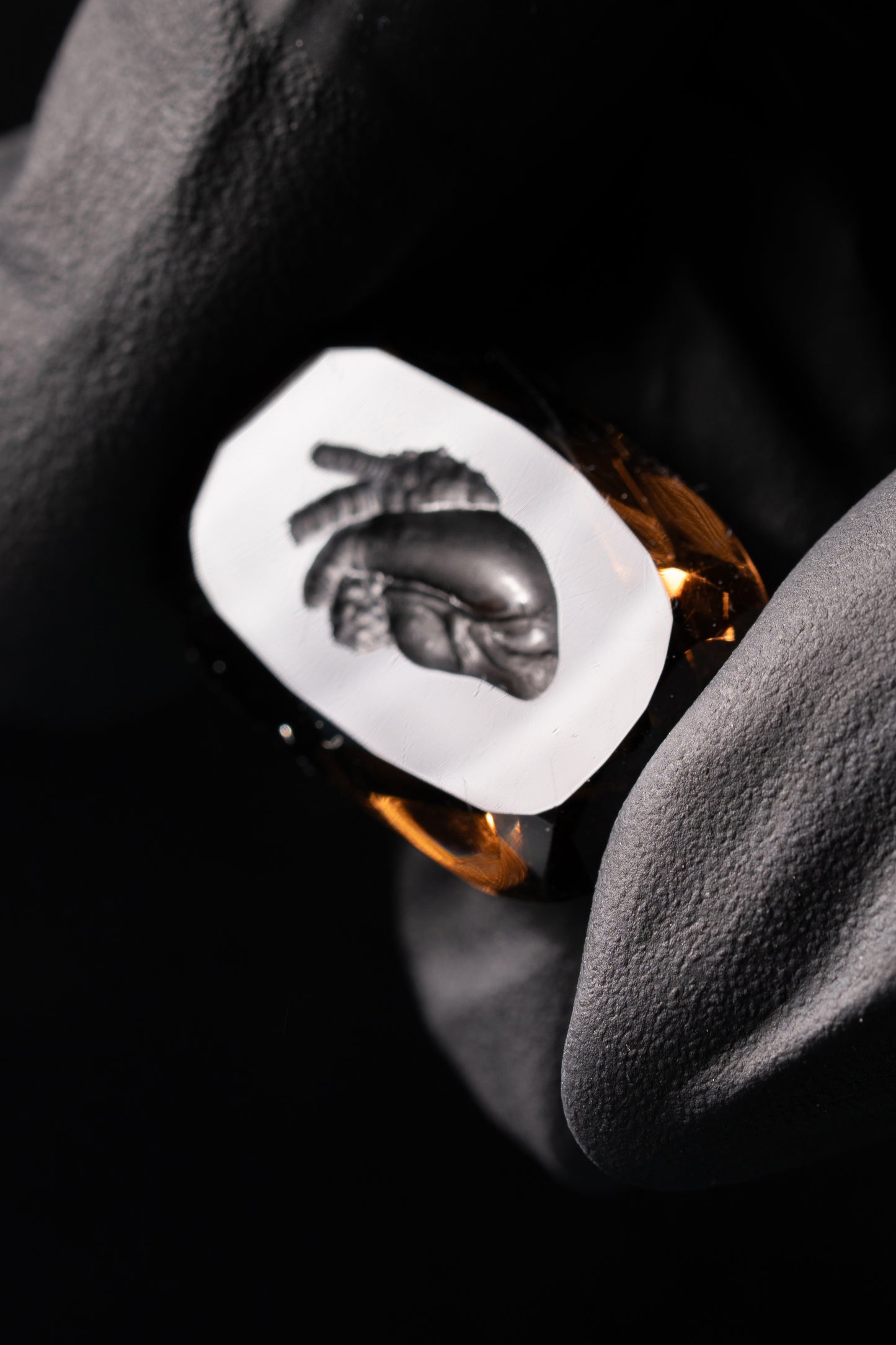 Anatomical heart