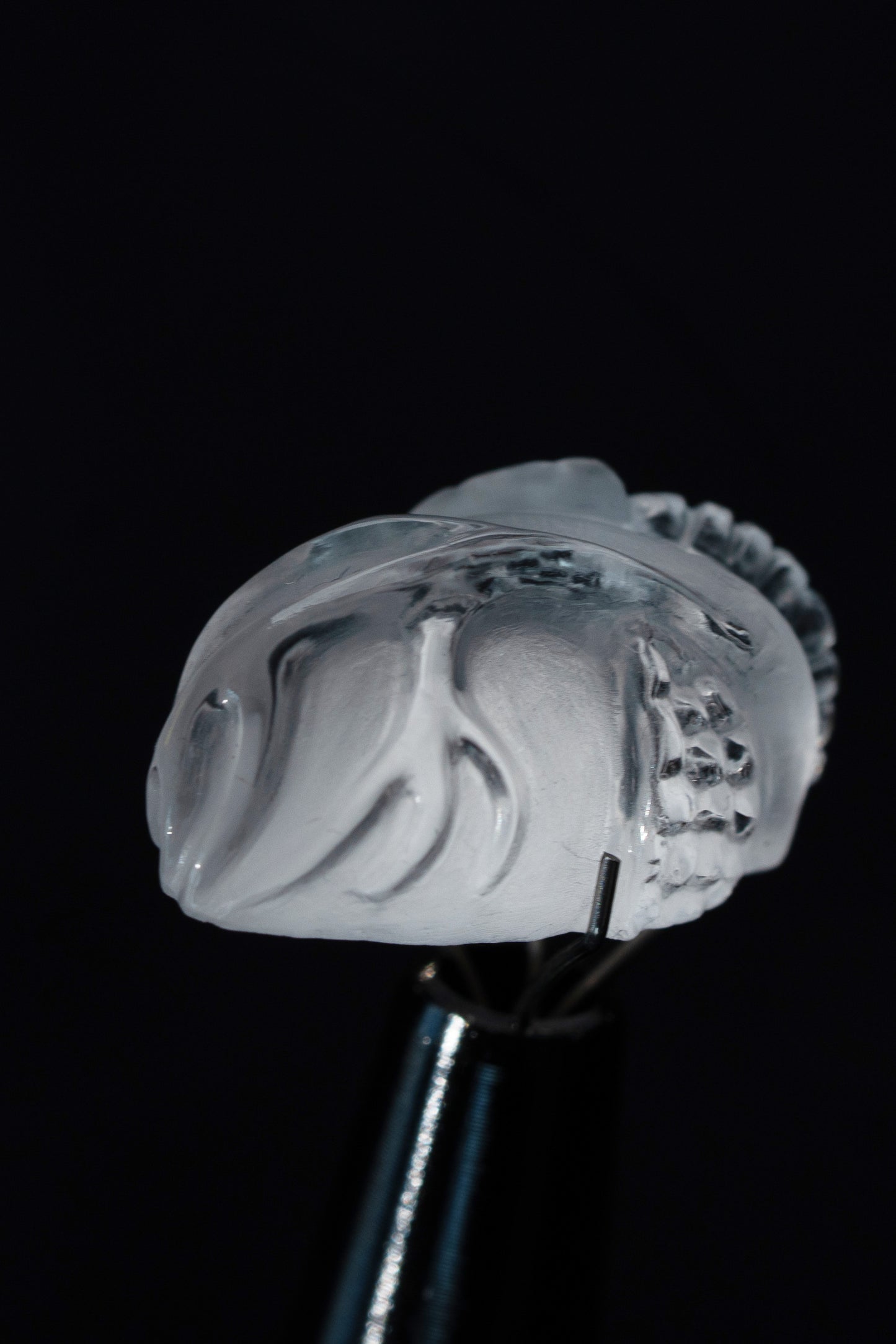 Cold Object #0