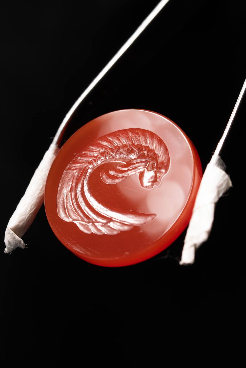 Emberfin